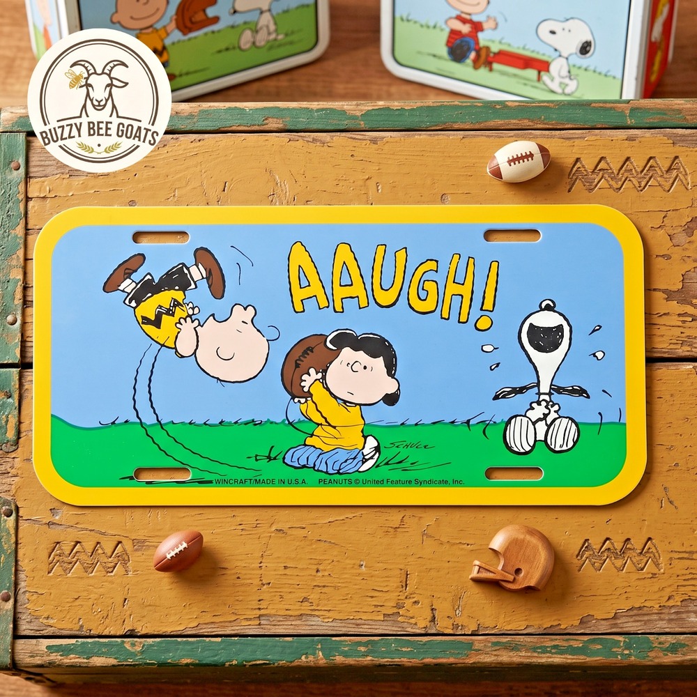 Peanuts Novelty License Plate Snoopy Charlie Brown Lucy Plastic Decorative 6x12